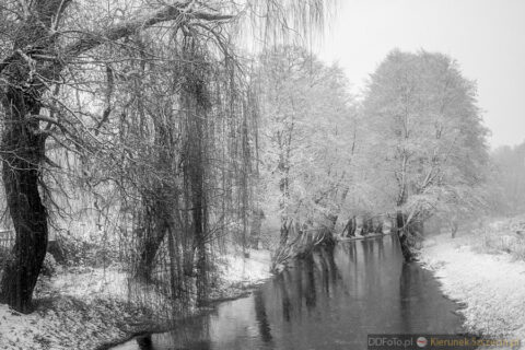Szczecin - styczeń 2015 fot. 94