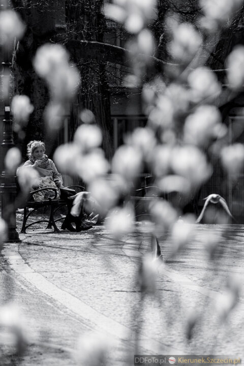 2015 04 Szczecin :: 30