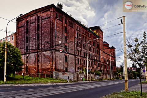 Szczecin na co dzień :: 2012-09-19