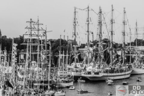 The Tall Ship Races 2013 71