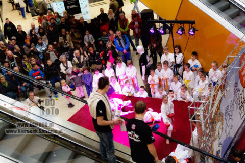 13.01.2013 Szczecin :: WOŚP :: 03
