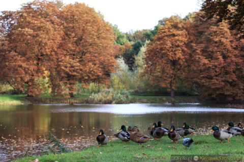 2014_10_Szczecin43