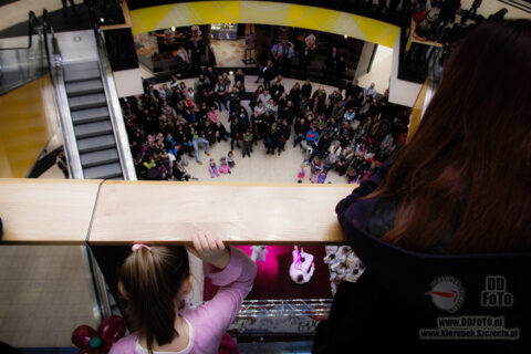 13.01.2013 Szczecin :: WOŚP :: 04