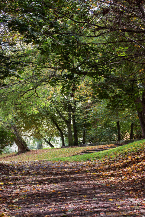 2014_10_Szczecin33