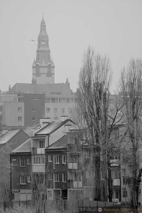 Szczecin - styczeń 2015 fot. 60