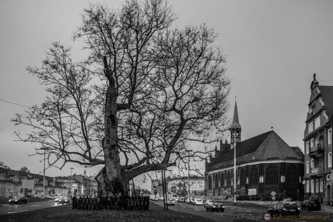 Szczecin - styczeń 2015 fot. 40