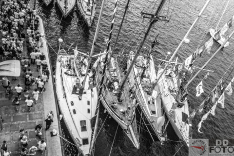 The Tall Ship Races 2013 85