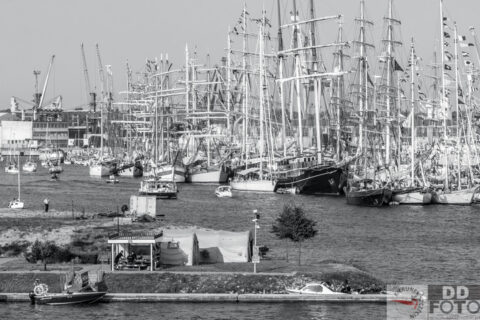 The Tall Ship Races 2013 60