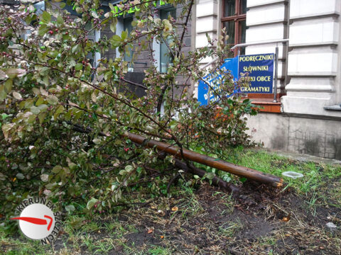 Szczecin na co dzień :: 2012-07-19b