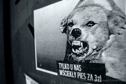 Szczecin styczeń 2014 :: 54