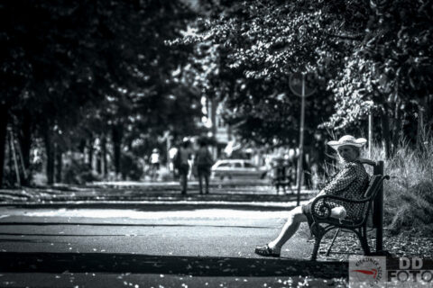 lipiec 2013 w Szczecinie 08