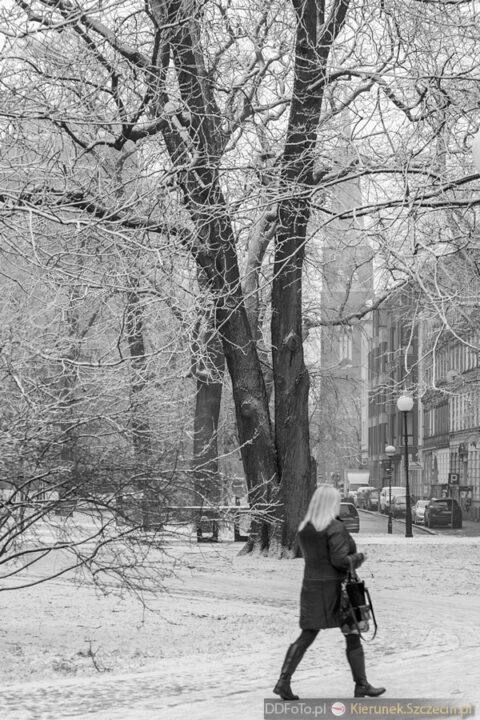 Szczecin - styczeń 2015 fot. 47