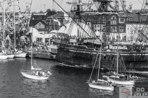 The Tall Ship Races 2013 64
