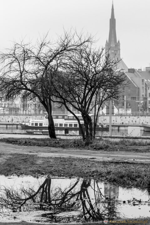 Szczecin - styczeń 2015 fot. 30