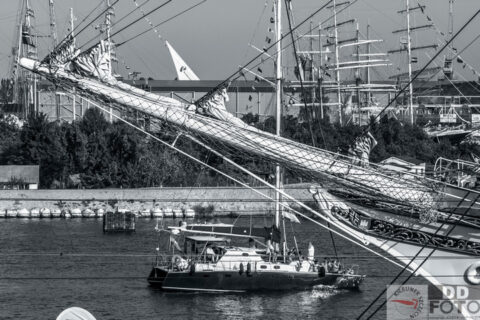The Tall Ship Races 2013 53