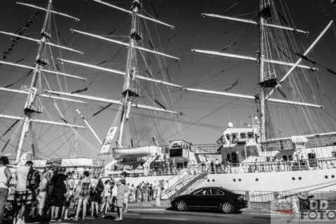 The Tall Ship Races 2013 07
