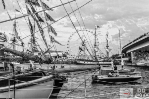 The Tall Ship Races 2013 89