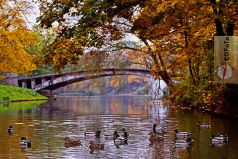 Szczecin n a co dzień :: 2012-10-23