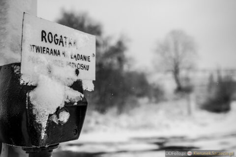 Szczecin - styczeń 2015 fot. 89