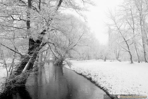 Szczecin - styczeń 2015 fot. 82