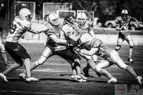 Cougars Szczecin vs Raiders Bydgoszcz 42