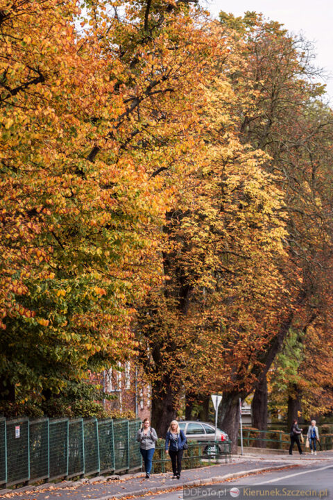2014_10_Szczecin26