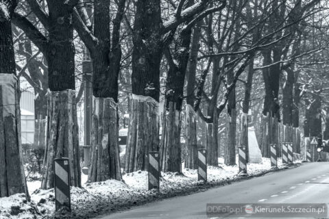 Szczecin styczeń 2014 :: 24