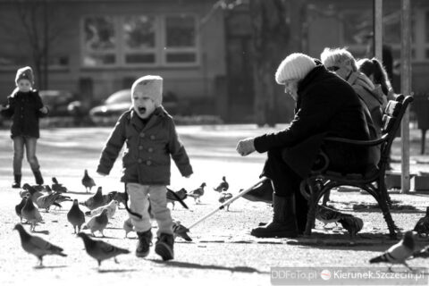 Szczecin 2014.03 093