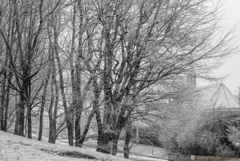 Szczecin - styczeń 2015 fot. 57