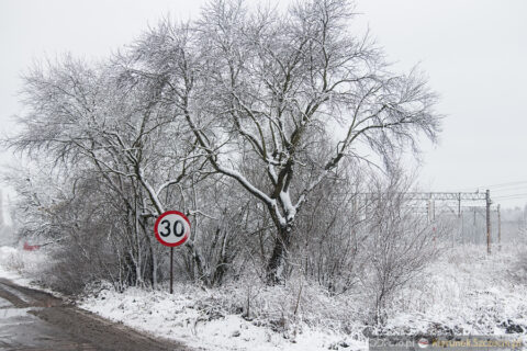 Szczecin - styczeń 2015 fot. 90