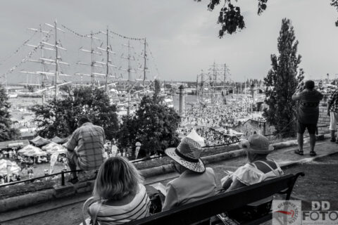 The Tall Ship Races 2013 49