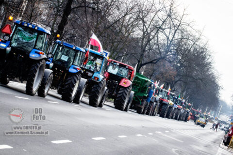 Protesty rolników w Szczecinie 15