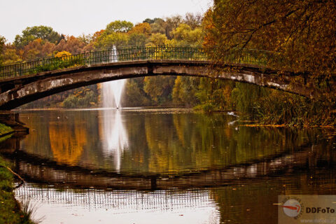 Szczecin n a co dzień :: 2012-10-22