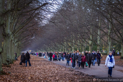 Szczecin - Dzień Wszystkich Świętych 2013 10