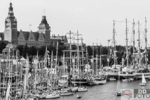 The Tall Ship Races 2013 74