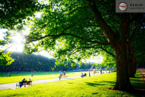 Szczecin na co dzień :: 2012-08-29