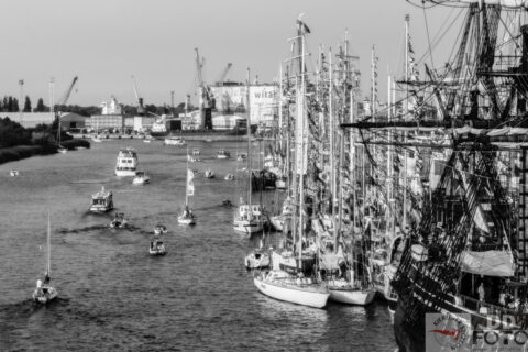 The Tall Ship Races 2013 75