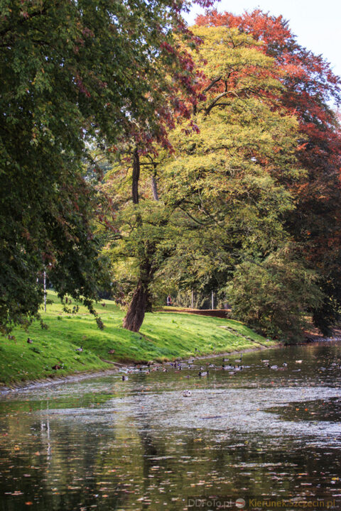 2014_10_Szczecin35