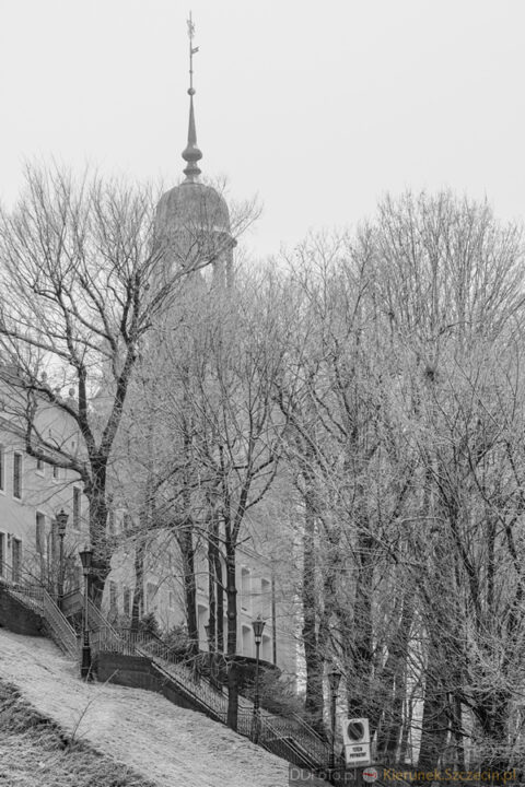 Szczecin - styczeń 2015 fot. 58