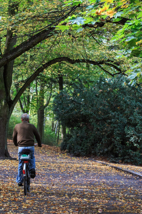 2014_10_Szczecin49