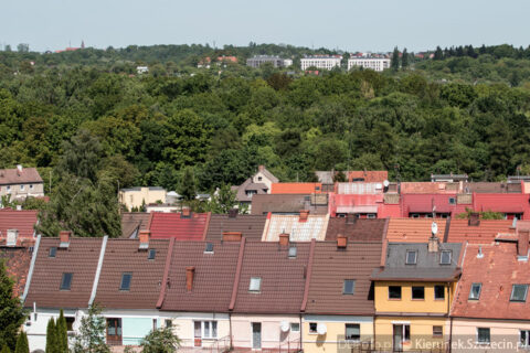 maj 2014 w Szczecinie :: 15