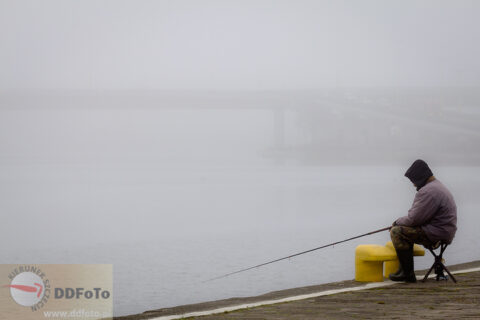 Szczecin n a co dzień :: 2012-11-13c