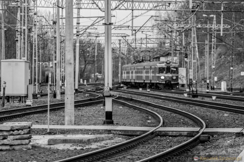 Szczecin marzec 2015 :: 14