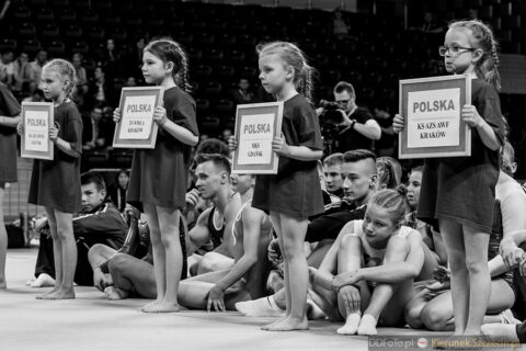 23-24.05.2015. Międzynarodowe Mistrzostwa Polski w Gimnastyce Sportowej :: 169