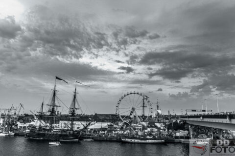 The Tall Ship Races 2013 84