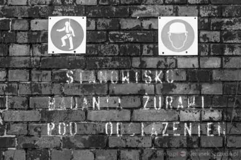 Szczecin 2014.03 105