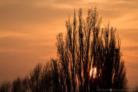 2015 04 Szczecin :: 22