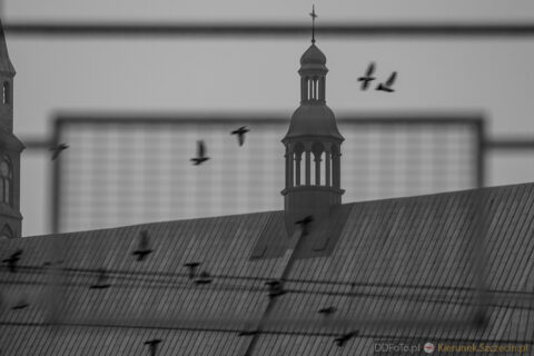 Szczecin marzec 2015 :: 59