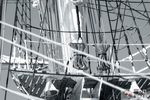 The Tall Ship Races 2013 45