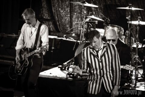 02.03.2013 Szczecin KONCERT Triggerfinger :: 50
